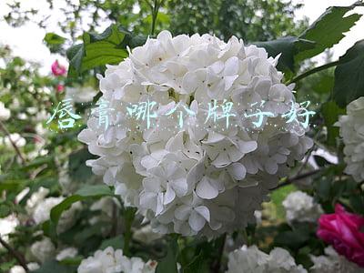 唇膏哪个牌子好