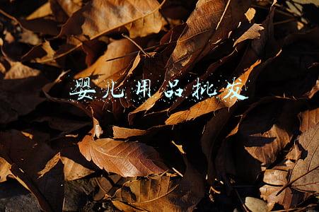 婴儿用品批发