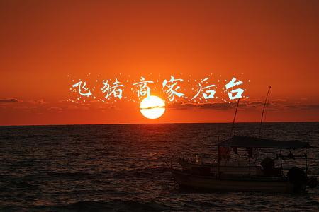 飞猪官方网站商家入驻(飞猪专线新增准入要求 跟团游须即时确认)