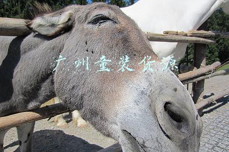 广州童装货源怎么找(品牌童装货源哪里找)