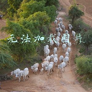 无法加载图片是什么原因(你需要知道的12个重要的图片SEO技巧)