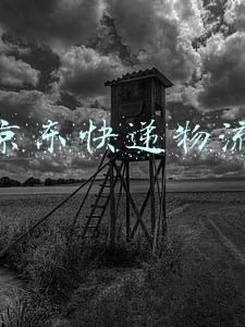 京东快递物流电话人工服务热线(提速了！平均海拔4200米以上，网购最快3天送达西藏阿里)