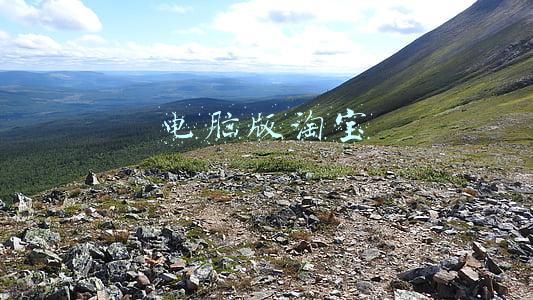 电脑版淘宝