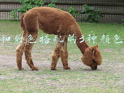 和紫色搭配的3种颜色
