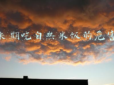 长期吃自热米饭的危害