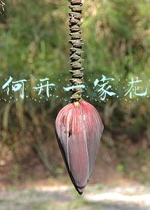 如何开一家花店
