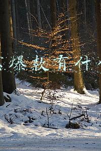 淘宝爆款有什么用