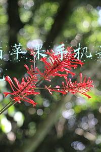 怎么看苹果手机是不是翻新机