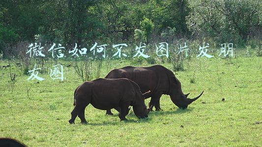 微信如何不发图片发朋友圈