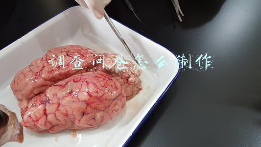 手机调查问卷怎么制作(微信排版中如何制作问卷调查？)
