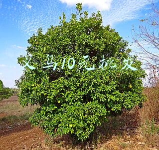 义乌10元批发
