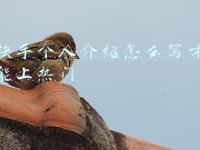 快手个人介绍怎么写才能上热门