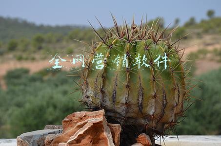 营销软件网(适用于B2C独立站的 10大电子邮件营销软件)