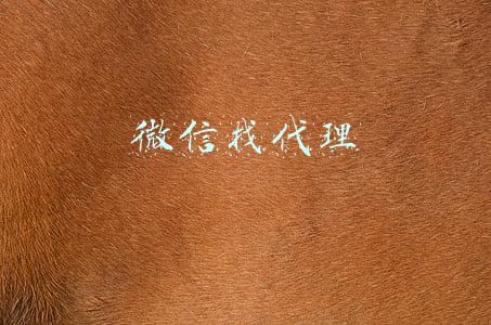 微信找代理