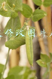 在线修改图片尺寸