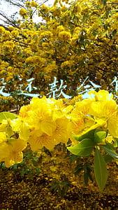 花呗没还款会怎么样有多少利息(支付宝的花呗逾期，会有怎样的后果？会不会联系家人？)