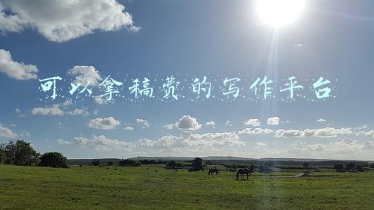 可以拿稿费的写作平台