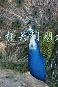 怎么样关闭朋友圈入口(关闭微信朋友圈入口四年后，我的变化)