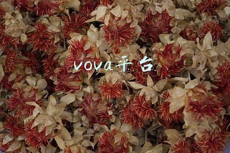 vova平台