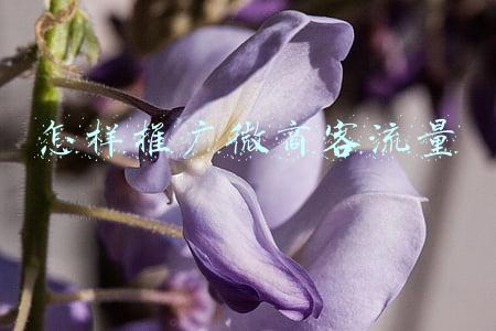 怎样推广微商客流量