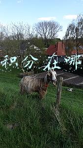 蚂蚁积分在哪里看