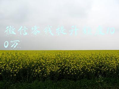 微信零钱提升额度100万