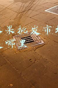 上海水果批发市场最最大的是哪里
