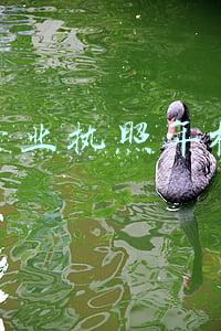 工商营业执照年检网址