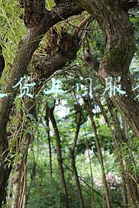 送货上门服务