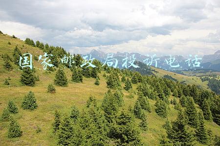国家邮政局投诉电话