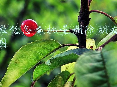 微信怎么批量删除朋友圈