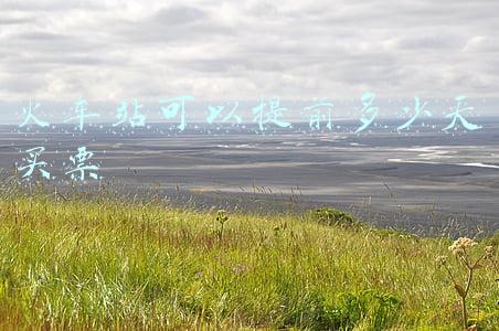 在火车站可以提前买多少天的票(2022年春运共40天！1月17日起可购买除夕当日火车票)