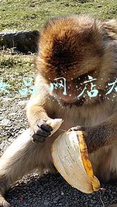 化妆品网店加盟