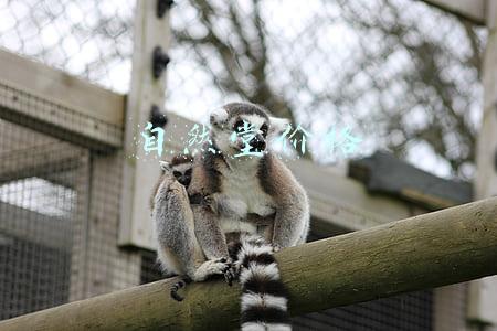 自然堂价格