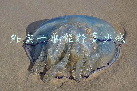 外卖一单能挣多少钱
