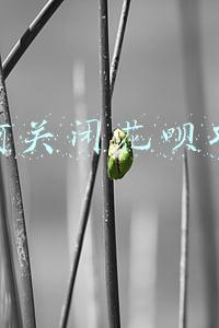 如何关闭花呗功能