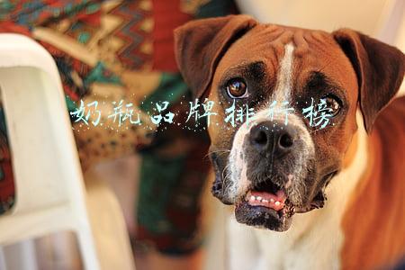 奶瓶品牌排行榜