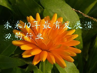 未来10年比较有发展的行业(被国家点名，未来十年，养老行业会非常吃香)