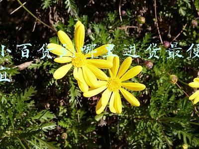 小百货到哪里进货最便宜
