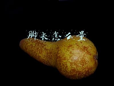 脚长怎么量