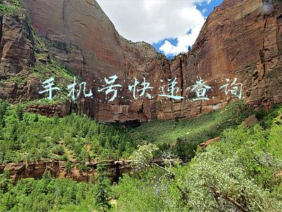 手机号快递查询