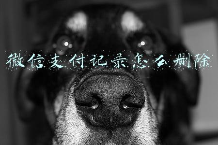 微信支付记录怎么删除