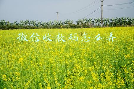 微信收款码怎么弄