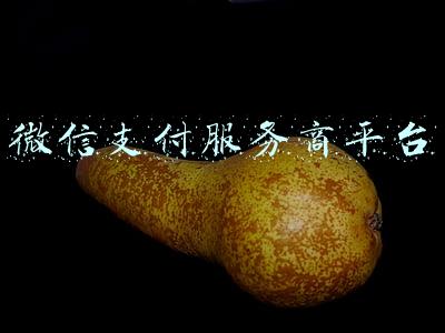 微信支付服务商平台