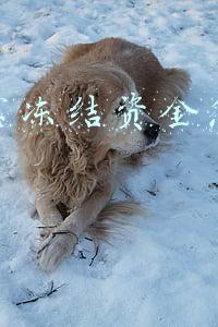 余额宝冻结资金怎么取出来