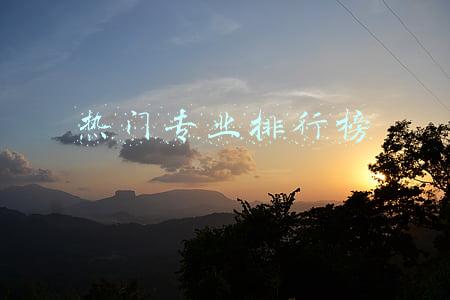 热门专业排行榜