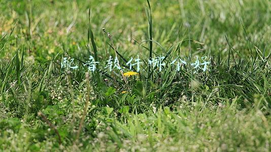 什么软件可以配音(两款免费的配音软件轻松搞定配音)
