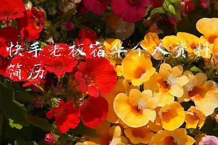 快手宿华(36氪独家 | 宿华卸任快手CEO，程一笑接任)