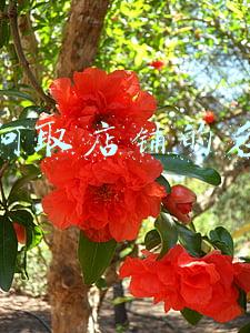 如何取店铺的名字