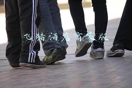 飞猪酒店商家版后台登录(从OTA到OTM，飞猪想让商家直接接触用户)
